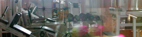 Weight training  in Karun near Zell am See Austria